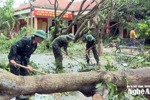 Lực lượng quân đội tham gia khắc phục hậu quả bão số 5 tại Khu di tích Quốc gia đặc biệt Kim Liên