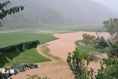 Đã tìm thấy thi thể nạn nhân bị lũ cuốn trôi tại Lào Cai