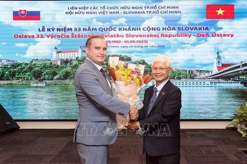 Củng cố tình hữu nghị truyền thống giữa nhân dân Việt Nam và Slovakia