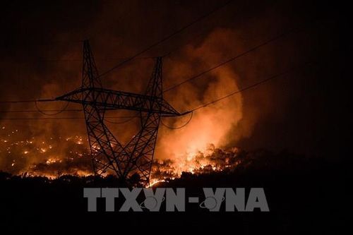 Cháy rừng kỷ lục tại châu Âu: Hơn 1 triệu ha bị thiêu rụi