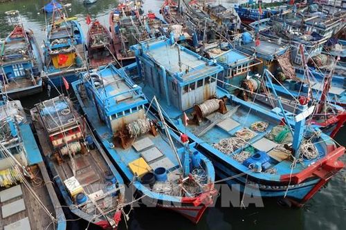 Kêu gọi tàu thuyền về khu neo đậu, tránh trú an toàn