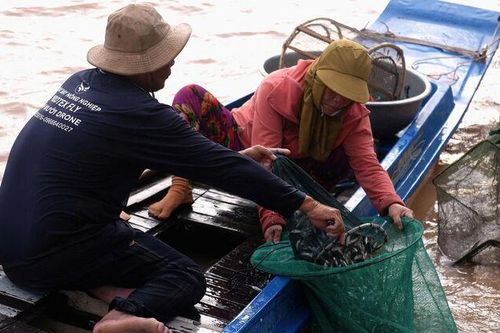 Sinh kế mùa nước nổi