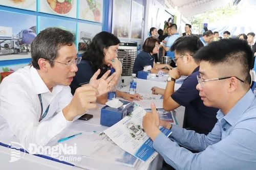 Chủ động nắm bắt cơ hội việc làm
