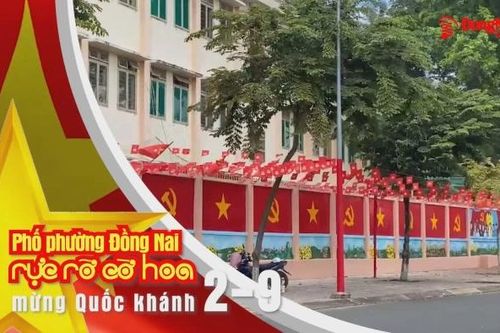 Phố phường Đồng Nai rực rỡ cờ hoa mừng Quốc khánh 2-9