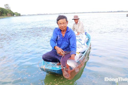 Mô hình sản xuất thuận thiên hiệu quả của nông dân vùng biên Đồng Tháp