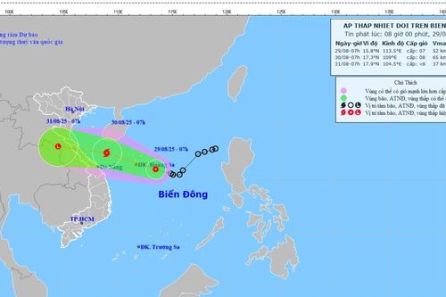 Khẩn trương triển khai ứng phó với áp thấp nhiệt đới trên biển Đông