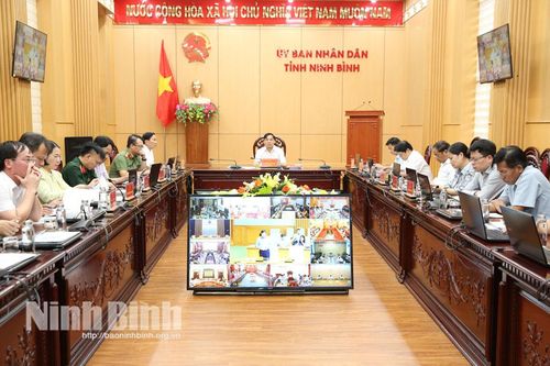 Hội nghị trực tuyến về Dự án sửa đổi một số Luật thuộc lĩnh vực Nông nghiệp và Môi trường