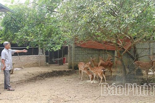 Người có uy tín dân tộc Cao Lan làm kinh tế giỏi