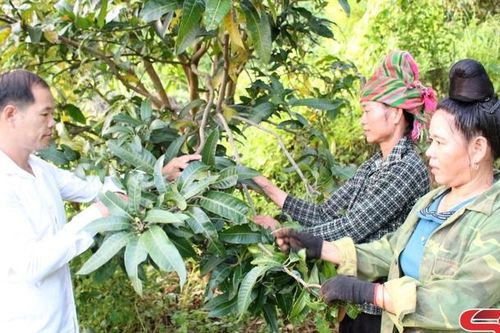 Chi bộ tiêu biểu học và làm theo Bác
