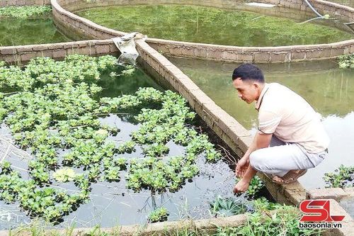 Đoàn viên ham học hỏi phát triển kinh tế