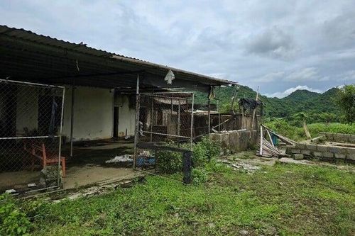 'Đắp chiếu' nhiều năm, dự án Công ty Giống chăn nuôi miền Bắc bị thu hồi đất
