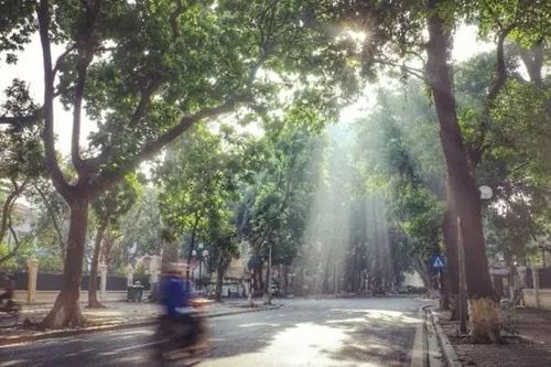 Thời tiết Hà Nội ngày 29/8: Hà Nội hửng nắng