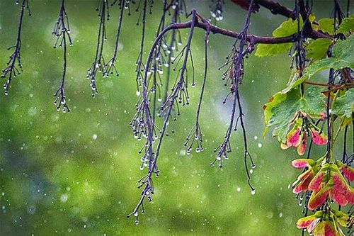 Vì sao trời thường mưa trong ngày Thất tịch 7/7 Âm lịch?