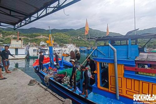 Du khách than phiền, khó chịu vì chen chúc với tàu cá tại vịnh Vĩnh Hy
