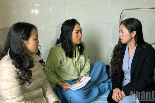 Làm rõ vụ hai công nhân môi trường bị hành hung phải nhập viện tại Lâm Đồng