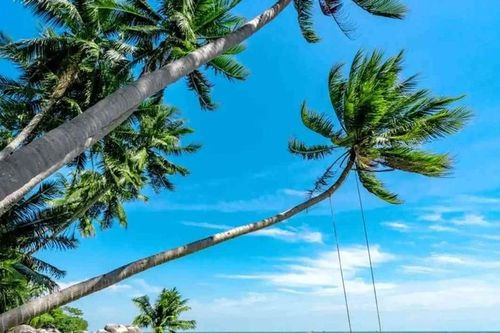 3 địa điểm miền Nam cho kỳ nghỉ 2/9, biển trong, hải sản tươi, giá hợp lý