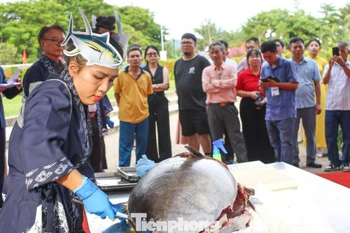 Nữ đầu bếp 'múa dao' phile cá ngừ đại dương hơn nửa tạ