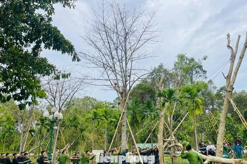 'Vượt nắng, thắng mưa' giúp dân khắc phục hậu quả bão số 5