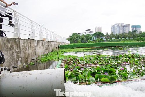 Chính thức bổ cập nước vào hồ Tây