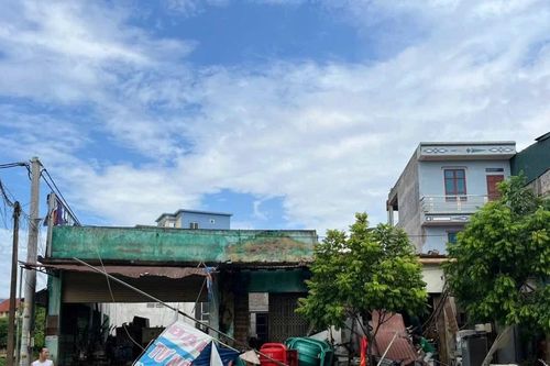 Hà Nội: Tôn bay, cây đổ do giông lốc