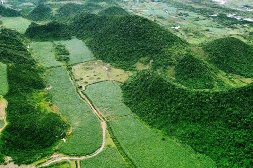 Thu hồi gần 65 ha đất thuộc dự án hơn 500 tỷ 'bất động' 15 năm ở Ninh Bình