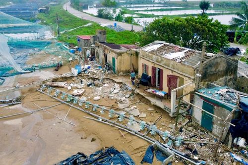 Trắng tay sau bão số 5, người nuôi tôm ở Thanh Hóa oằn mình gượng dậy