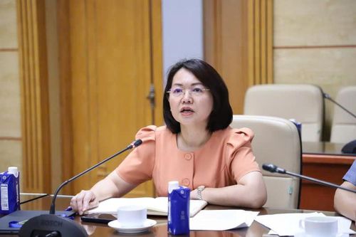 Phát ngôn gây chú ý của Cục trưởng Trần Việt Nga trước khi bị bắt tạm giam