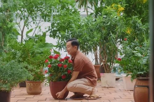 Cha mẹ luôn là điểm tựa vững chãi của con giữa nhiều đổi thay trong cuộc sống