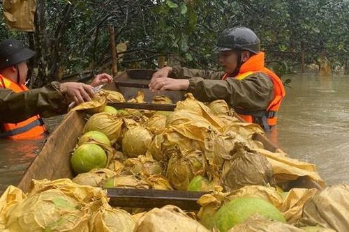 Chiến sĩ công an ngâm mình trong nước lũ 'giải cứu' đặc sản Hà Tĩnh