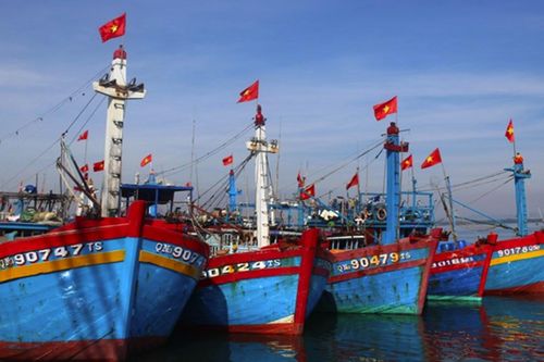 Quảng Trị dự kiến di dời hơn 14 nghìn hộ dân để ứng phó với bão số 6