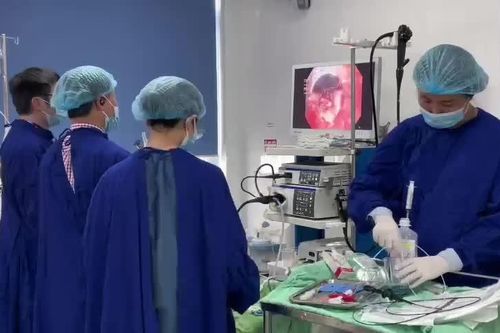 Áp dụng thành công kỹ thuật cắt tách dưới niêm mạc ống tiêu hóa trong điều trị ung thư sớm
