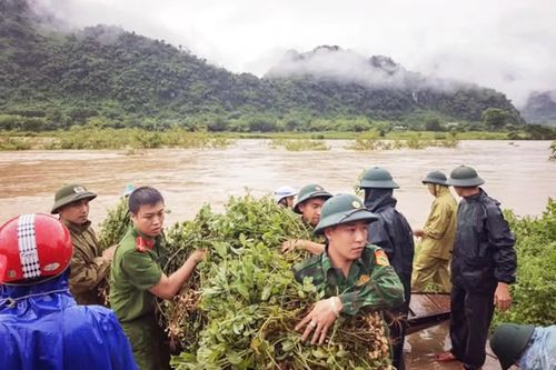 Giúp dân thu hoạch rau màu sau mưa lớn