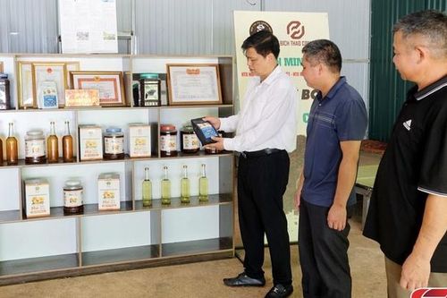 Thành công từ liên kết sản xuất cà phê theo chuỗi giá trị