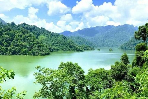 Thái Nguyên tăng cường quản lý, bảo vệ và phát triển rừng: Hướng tới mục tiêu phát triển bền vững