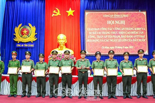 Công an Cà Mau: Xử lý gần 300 vụ việc trong 1 tháng cao điểm