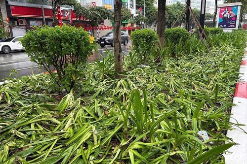Cần thể hiện tình yêu nước một cách văn minh