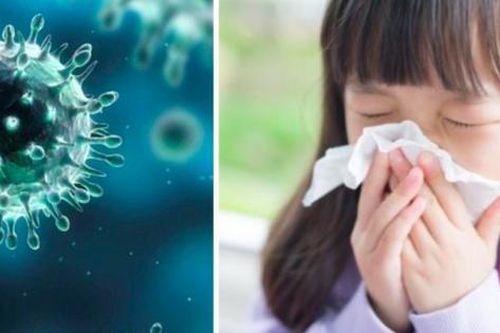 Vì sao cúm dễ có nguy cơ tăng khi trẻ quay lại trường học?
