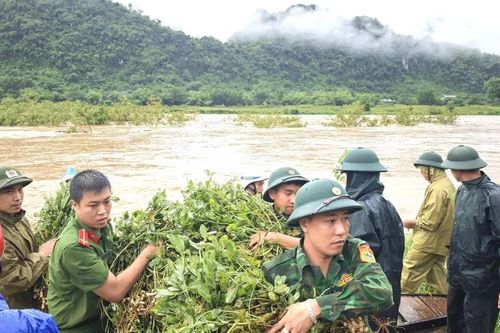 Công an xã ở Quảng Trị giúp dân thu hoạch sản phẩm nông nghiệp tránh bị thiệt hại do bão lũ