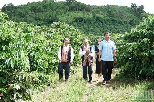 Quảng Ngãi phát huy vai trò người có uy tín trong đồng bào dân tộc thiểu số