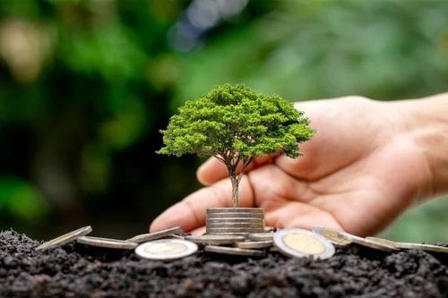 Lịch chốt trả cổ tức, tuần từ ngày 3 đến 5/9