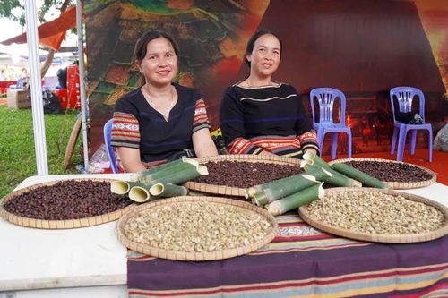 Độc đáo lễ hội 'Món ngon từ đất bazan và biển' ở Gia Lai