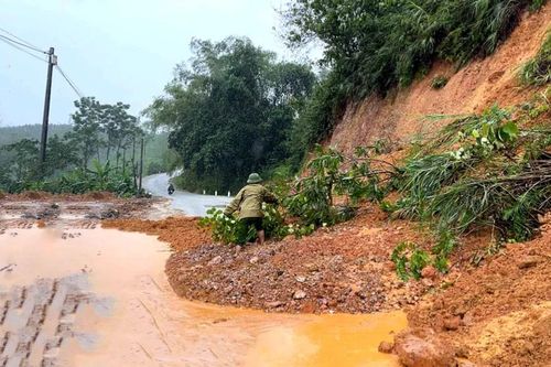Hà Tĩnh: Sạt lở đồi núi, đất trồng chè
