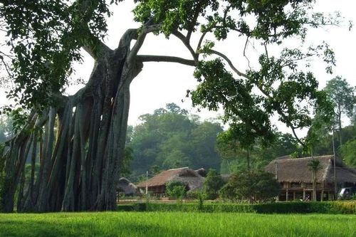 Về Tân Trào trong mùa cờ bay