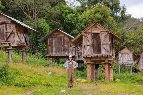 Du lịch Măng Đen dịp lễ 2/9, lịch trình trọn vẹn giữa rừng thông và thác nước