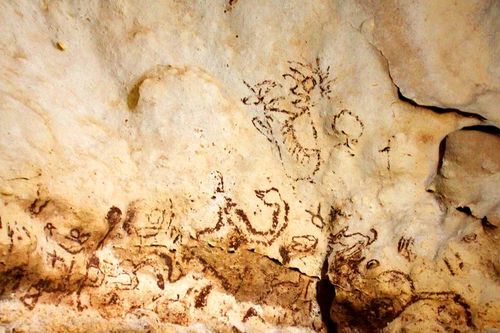 Tận mục bức tranh hang động người Maya chứa thông điệp lạ