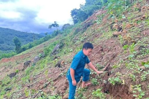 Phát hiện vết nứt dài 100m trên sườn núi ở Nghệ An