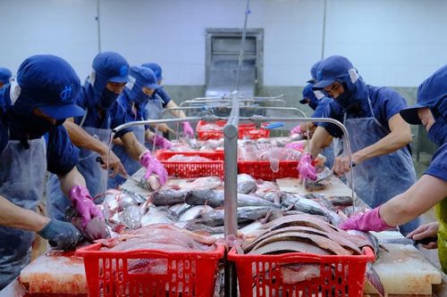 Việt Nam thành cường quốc xuất khẩu nông sản, nhiều mặt hàng dẫn đầu thế giới
