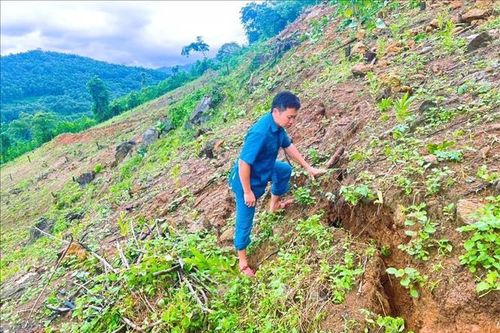 Nghệ An: Phát hiện vết nứt dài hơn 100m trên sườn đồi đe dọa an toàn người dân