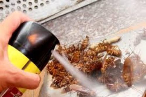 Người đàn ông bị bỏng cấp độ hai toàn thân khi sử dụng loại thuốc xịt này?