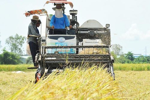 Từ một nước thiếu ăn trở thành cường quốc xuất khẩu nông sản